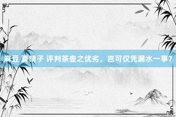 麻豆 夏晴子 评判茶壶之优劣，岂可仅凭漏水一事？