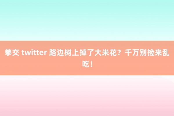 拳交 twitter 路边树上掉了大米花？千万别捡来乱吃！