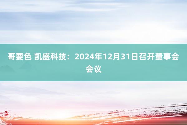 哥要色 凯盛科技：2024年12月31日召开董事会会议