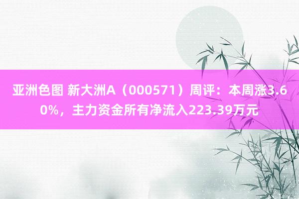 亚洲色图 新大洲A（000571）周评：本周涨3.60%，主力资金所有净流入223.39万元